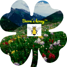 b2ap3_thumbnail_Andrea_Numellote_Beorns_honey_logo.png