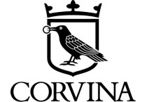 Corvina